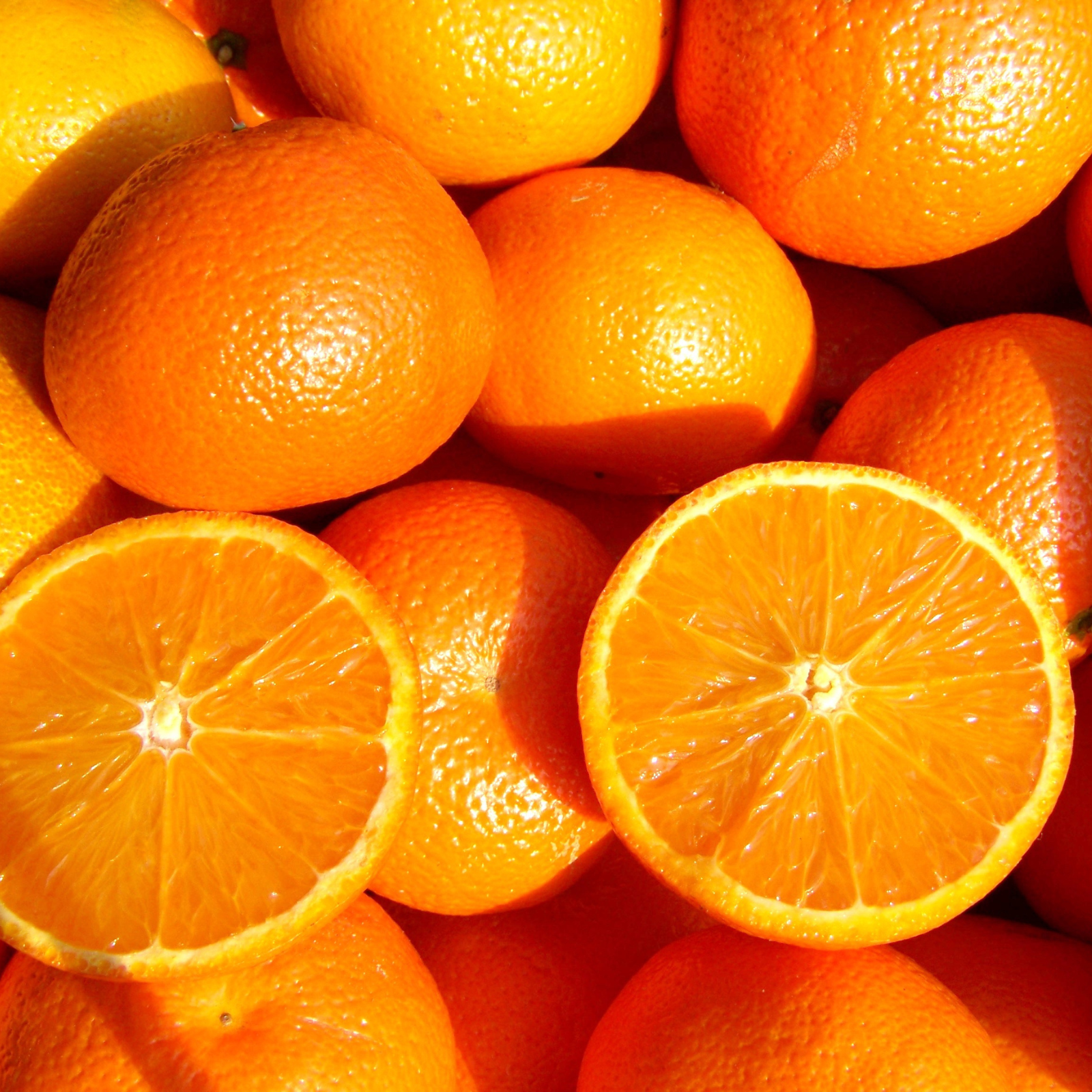 <p>Bioavailable <br/>Vitamin C</p>