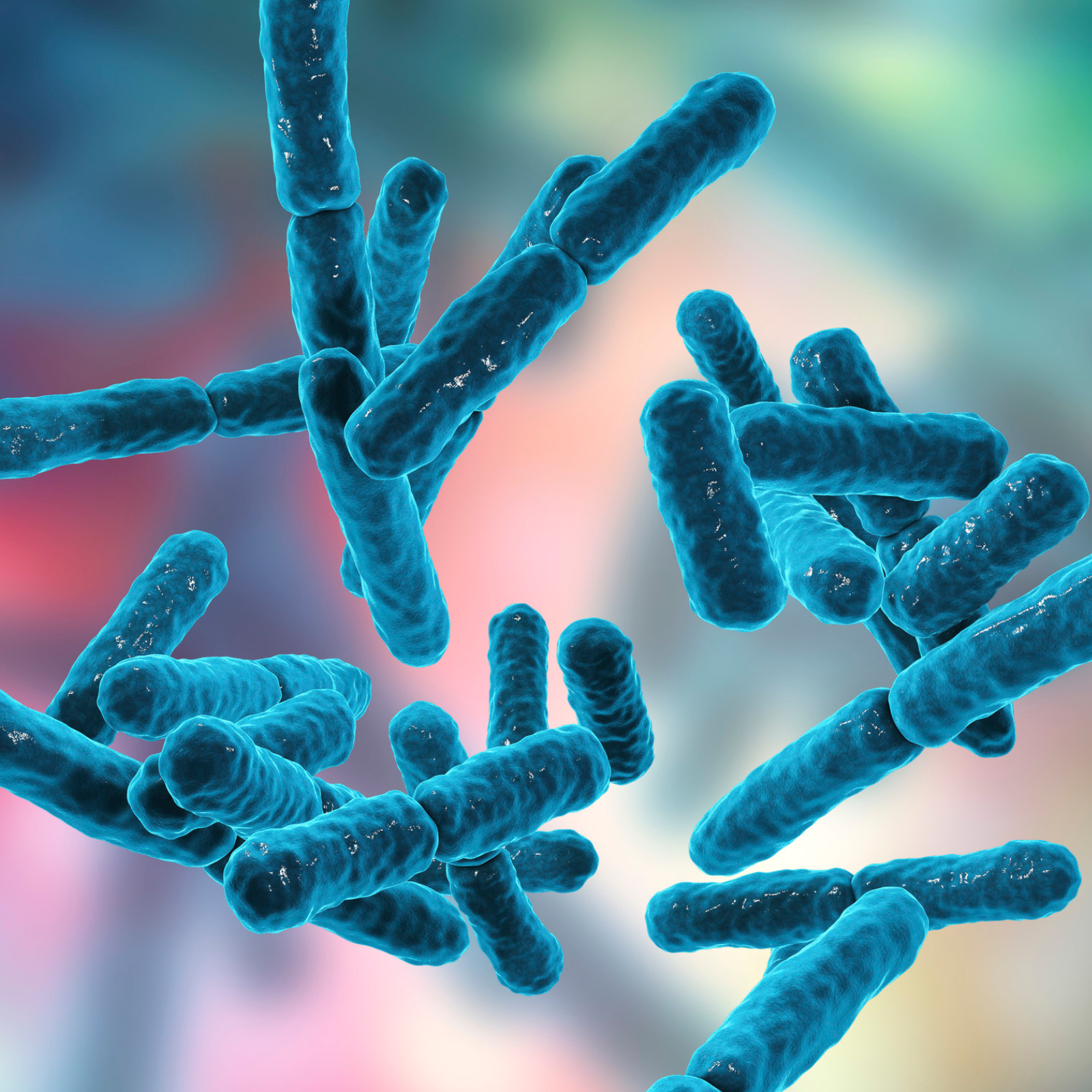 <p>Advanced <br/>Lactobacillus Blend</p>
